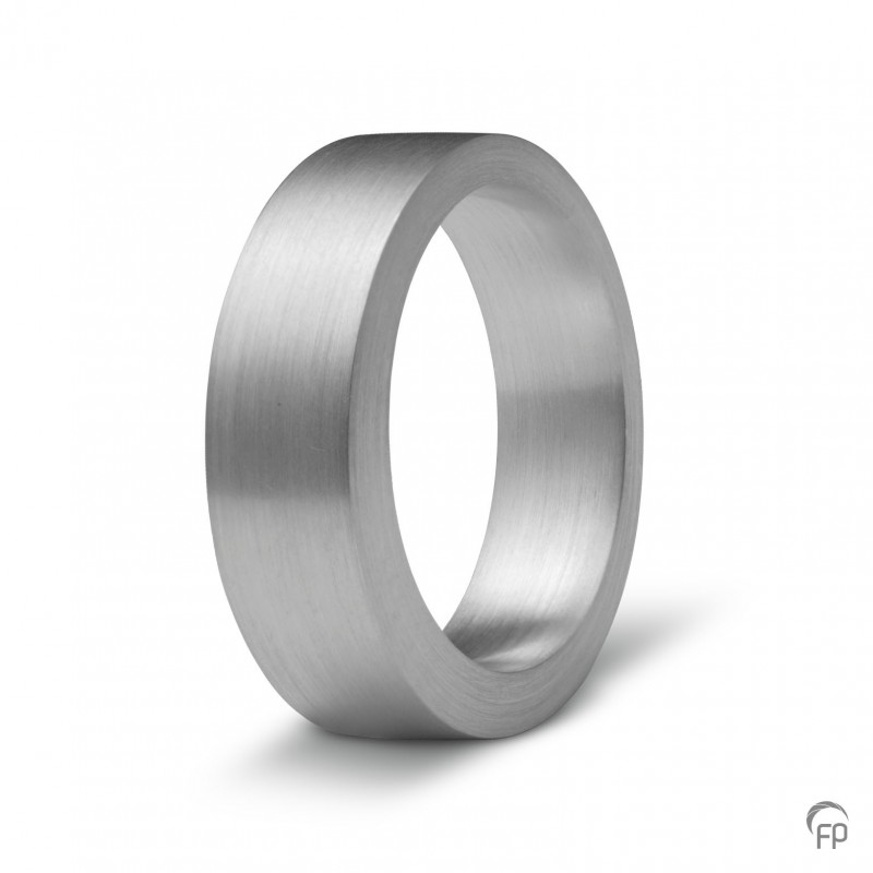 noorden Beperking Elementair Zilveren Ring: Mat (6 mm breed) - Ringen - West Gedenktekens