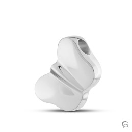 Zilveren Ashanger Vlinder