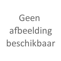 Eeuwige roos